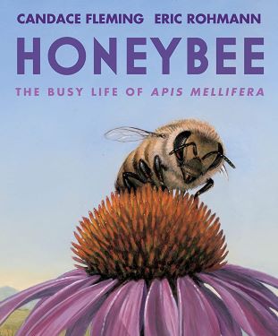 HoneyBee_large